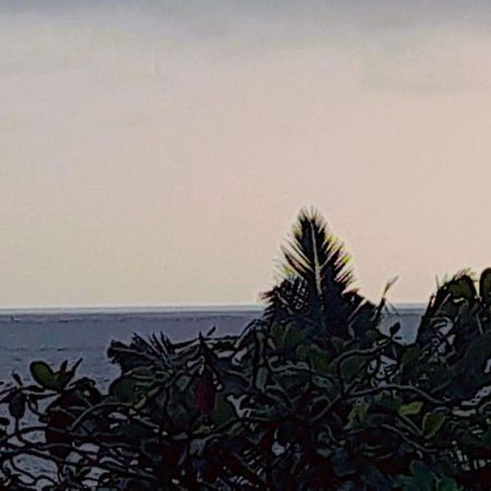 Mirissa Village 米瑞莎 外观 照片
